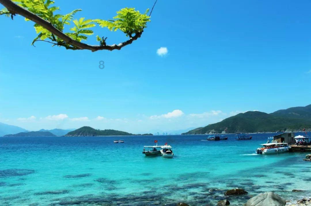 逃离水虎鱼湖
